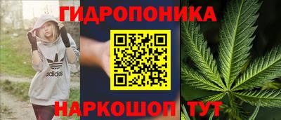 экстази Новодвинск
