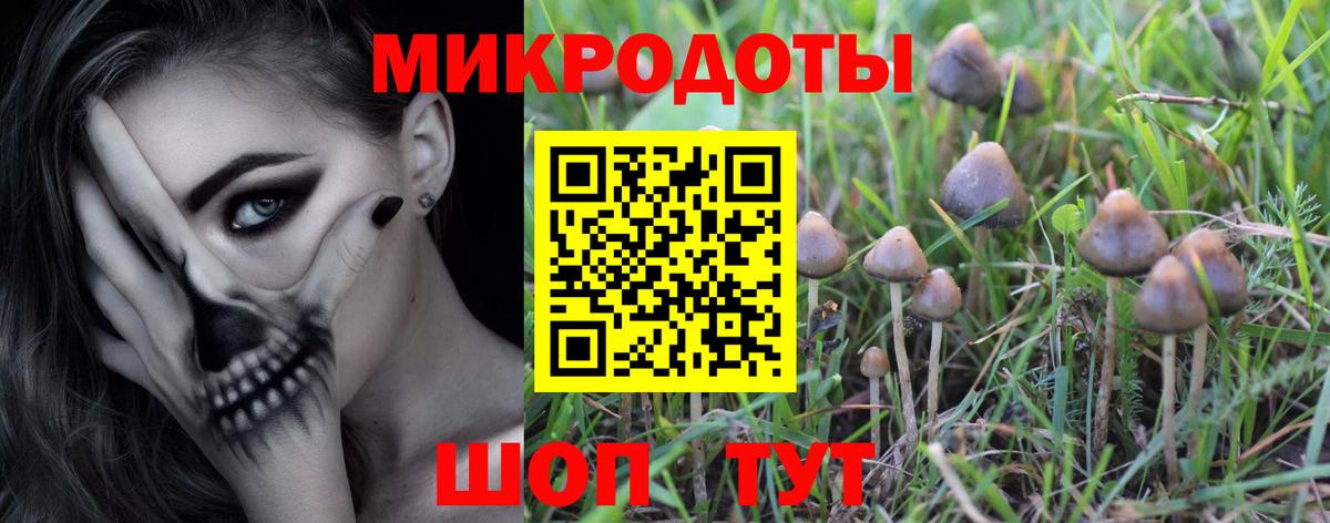Псилоцибиновые грибы GOLDEN TEACHER Сибай